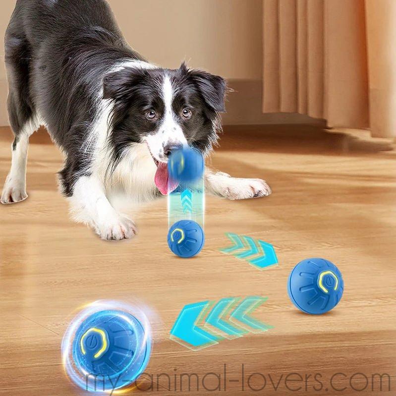 Balle de jeux interactive qui bouge toute seule pour chat et chien