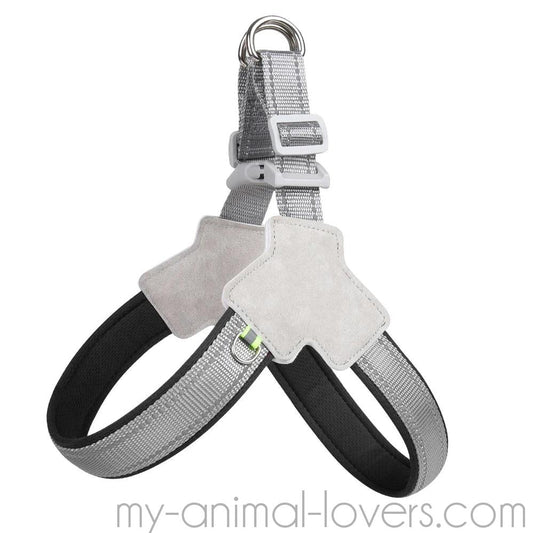 Harnais pour promener votre chien avec style