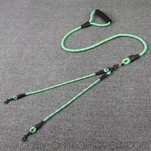 Laisse double pour chiens en nylon