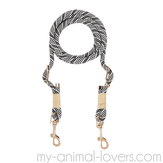 Laisse souple pour chien avec 2 mousquetons